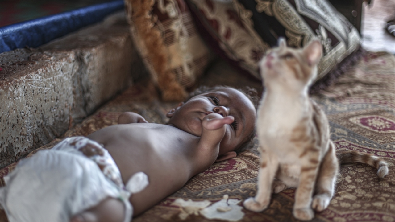 Baby Muhammed, who cannot play with his peers because he is born with no legs and arms, spends most of the day with his cat.
