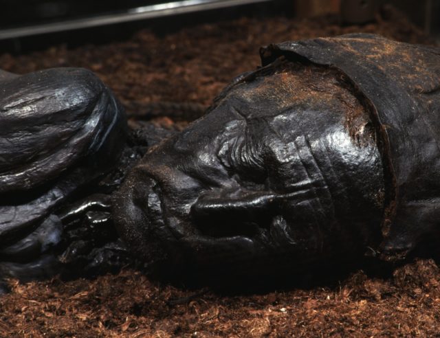 The head of a mummified man, wearing a hat.