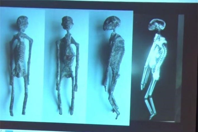 Found 5 alien mummies in Peru?