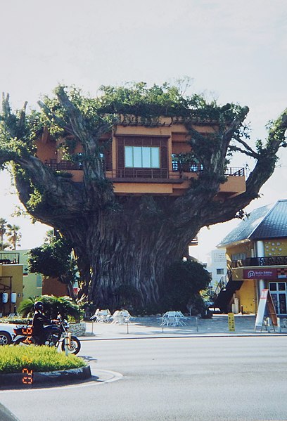 File:Okinawa Gajumaru Treehouse Restaurant 琉球樹屋 - panoramio.jpg