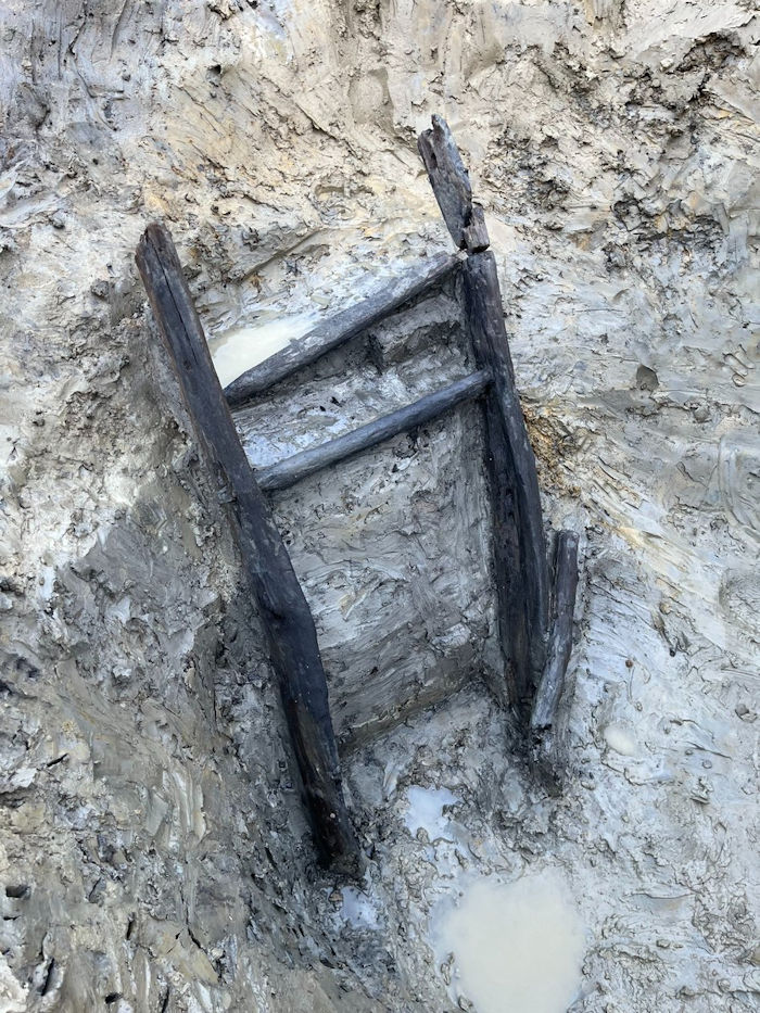 Incredibly Well-Preserved 1,000-Year-Old Wooden Ladder Discovered In The UK