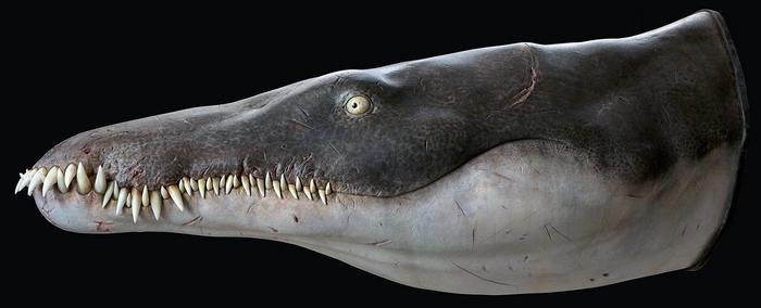 170-Million-Year-Old Sea Monster Identified As The Oldest Mega-Predatory Pliosaur'