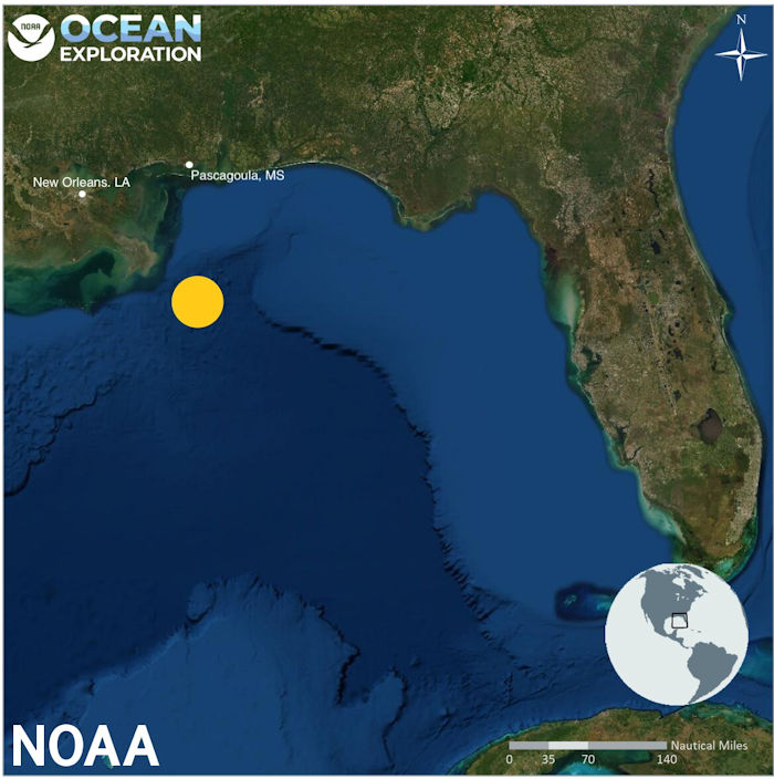 207-Year-Old Whaling Shipwreck Discovered In Gulf Of Mexico