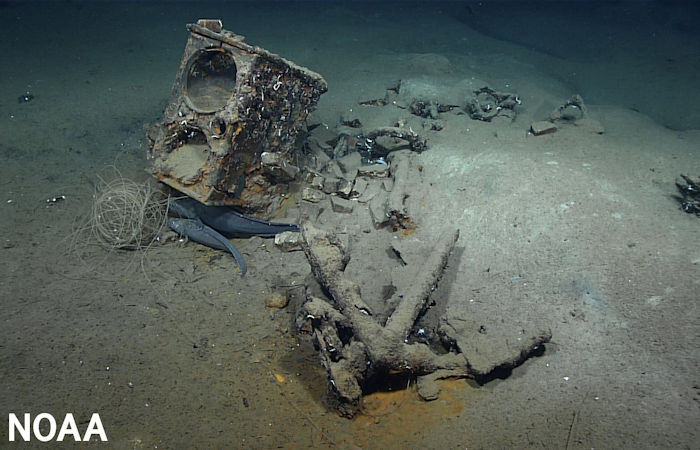 207-Year-Old Whaling Shipwreck Discovered In Gulf Of Mexico