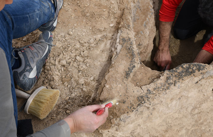 Unique, Well-Preserved 4,000-Year-Old Boat Discovered Near The Ancient City Of Uruk 