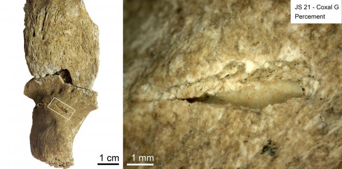  Projectile impact puncture with an embedded lithic fragment in the posterior surface of the left hip bone of individual JS 21. Credit: Isabelle Crevecoeur/Marie-Hélène Dias-Meirinho