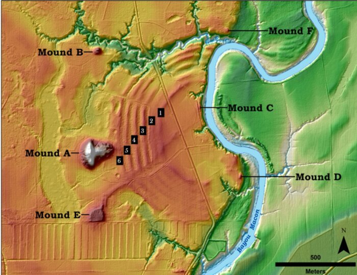 The illustration above shows the core features of the Poverty Point site in northern Louisiana. The green to the right is the Mississippi River flood plain. The orange is Macon Ridge, the higher ground on which the site is located. Six C-shaped ridges are visible at the site. Parts of the ridges have been damaged by historic and modern activities. The pattern south of Mound E is the result of farm activity. Many of the low areas around the site – lighter yellow – are thought to be places where soil was mined to make ridges and mounds.1 of 3The illustration above shows the core features of the Poverty Point site in northern Louisiana. The green to the right is the Mississippi River flood plain. The orange is Macon Ridge, the higher ground on which the site is located. Six C-shaped ridges are visible at the site. Parts of the ridges have been damaged by historic and modern activities. The pattern south of Mound E is the result of farm activity. Many of the low areas around the site – lighter yellow – are thought to be places where soil was mined to make ridges and mounds. Credit: T.R. Kidder