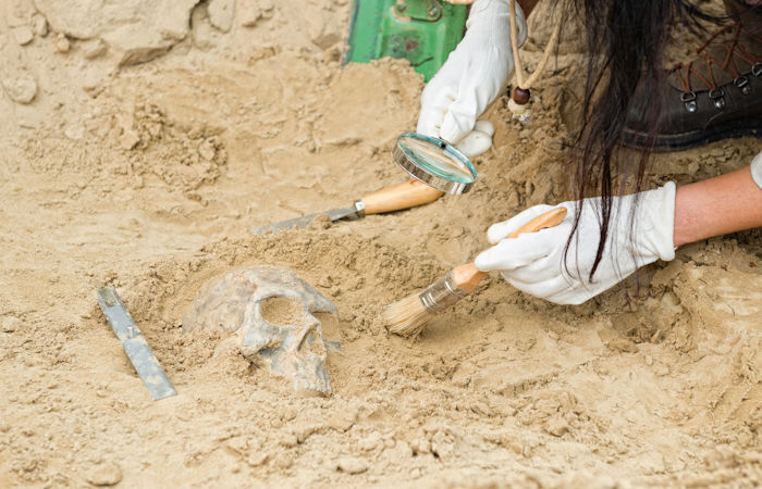 Discovery In Alabama Reveals Evidence Of Skull Surgery In North America Thousands Of Years Earlier Than Previously Thought - Bioarchaeologist Says