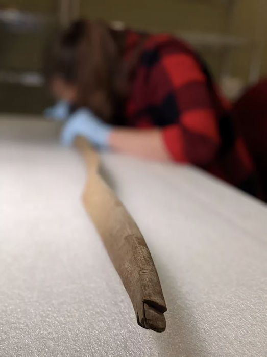 Still Intact 460-Year-Old Bow Found Underwater In Alaska Baffles Scientists - Where Did It Come From?