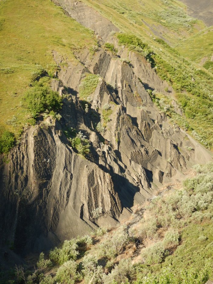 Largest Known Single Dinosaur Track Site In Alaska Discovered And Documented