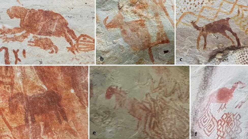 Never-Before-Seen Amazon Rock Art Reveal People Lived With Giant Ice Age Animals