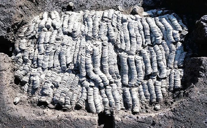 Incredible Trove Of 100,000 Ancient Coins Tied Together In Bundles Uncovered In Japan