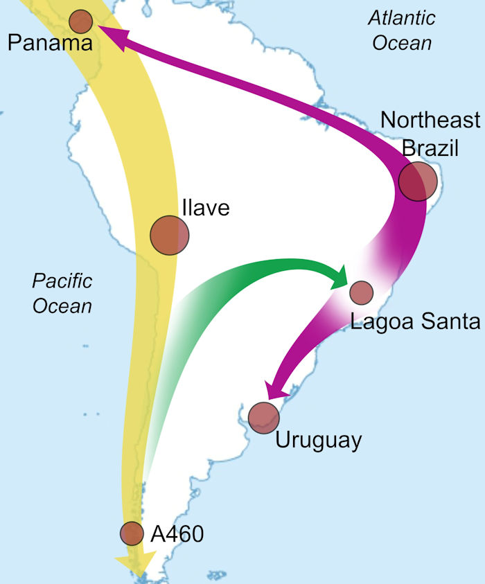 Unexpected And Surprising Results Of Ancient DNA Study - Who Were The First People In South America?