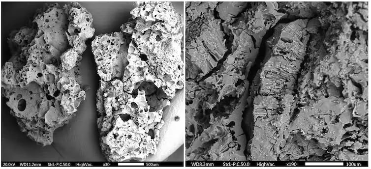 The Real Paleo Diet: New Archaeological Evidence Changes What We Thought About How Ancient Humans Prepared Food