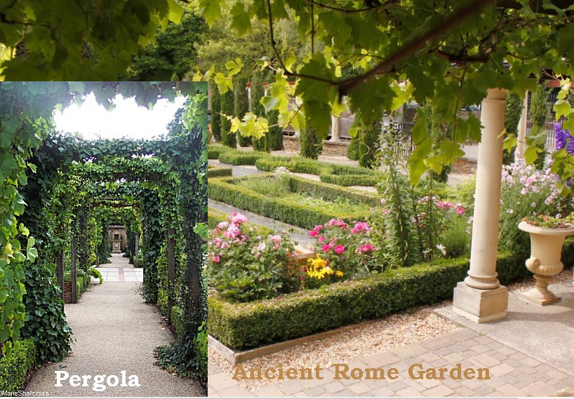 The Romans widely used pergolas for growing vines.