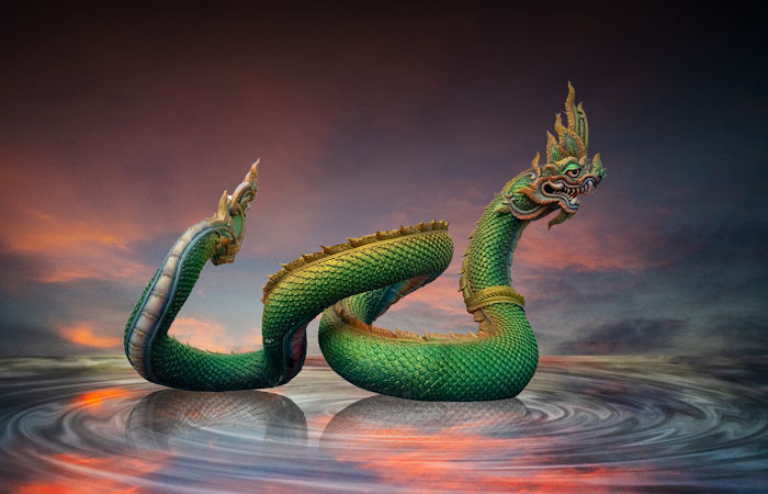 Apalala: Harsh Dragon Controlling Swat River Who Became Benevolent Naga King Helping People In Buddhist Tradition