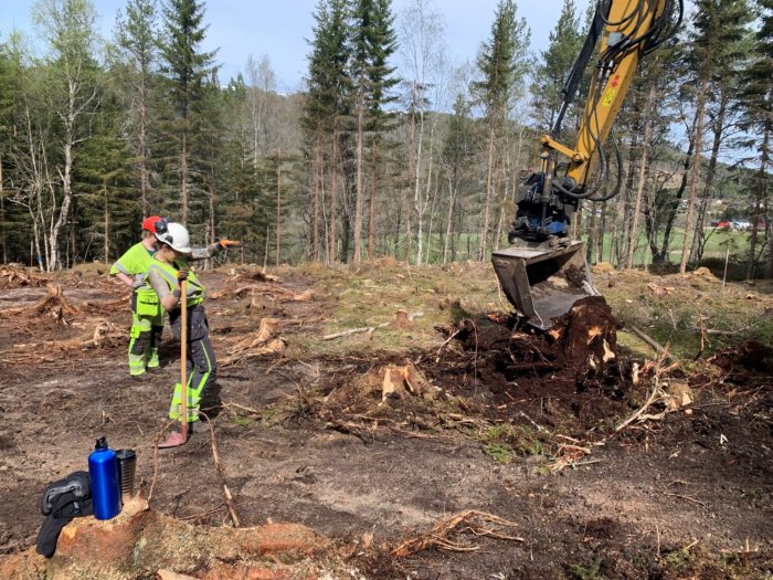 Rare Stone Age Artifacts Found In Norway Offer Evidence Of Migration From The East