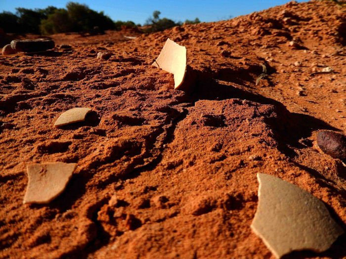 The First Australians Ate Giant Eggs Of Huge Flightless Birds That Went Excinct Over 47,000 Years Ago