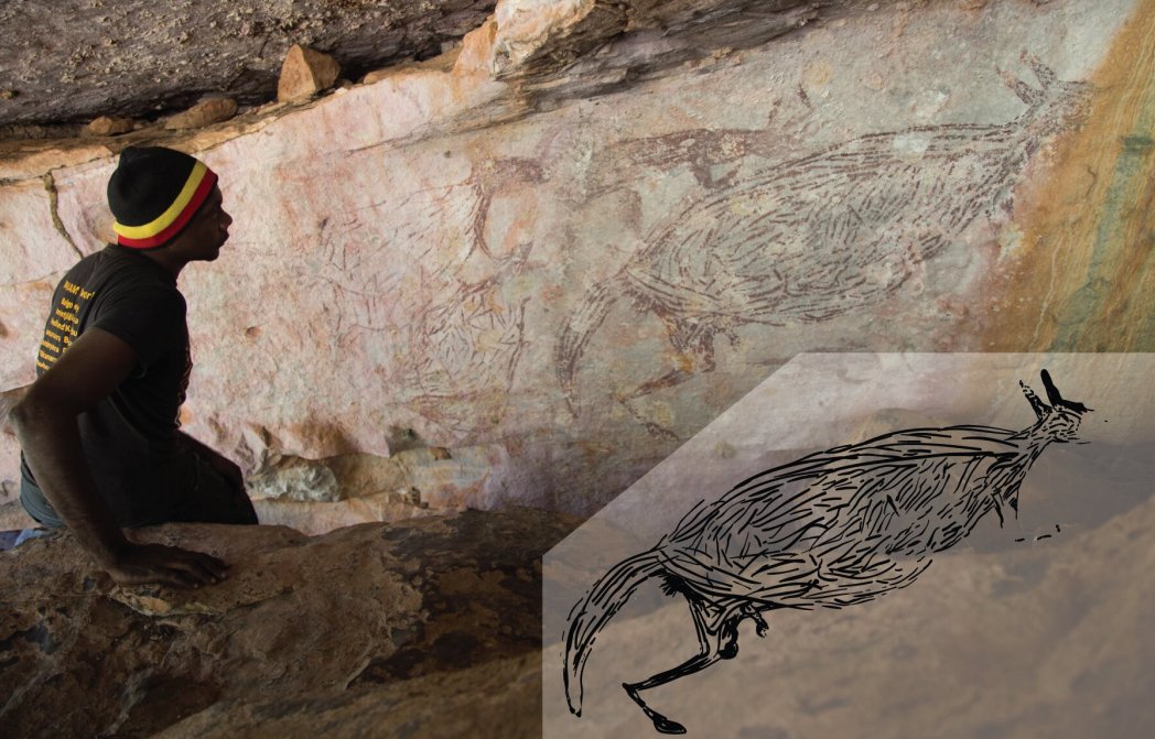 Traditional Owner Ian Waina inspecting a Naturalistic painting of a kangaroo, determined to be more than 12,700 years old based on the age of overlying mud wasp nests. The inset is an illustration of the painting above it. Credit: PH๏τo: Peter Veth and the Balanggarra Aboriginal Corporation, Illustration: Pauline Heaney