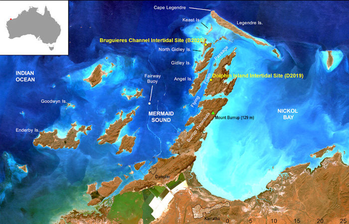 Australia's First Marine Aboriginal Archaeological Site Questioned