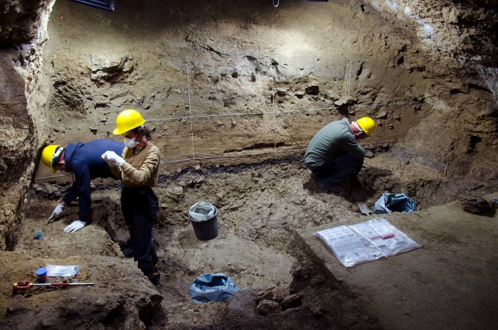 Current excavations at Bacho Kiro Cave of the 2021 season are unearthing new artifacts from the Middle Palaeolithic Neanderthal occupations. The Initial Upper Palaeolithic Layer I can be seen as a dark band in the sediment profile. Excavators are wearing masks and gloves to minimize contamination of samples that are regularly taken for molecular analyses. Credit: MPI-EVA/ Tsenka Tsanova