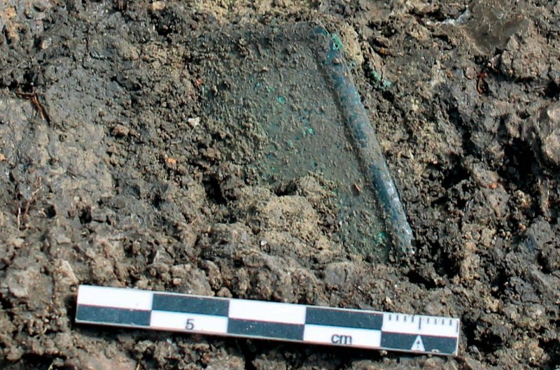 Irulegi's hand found in excavations. Aranzadi Science Society