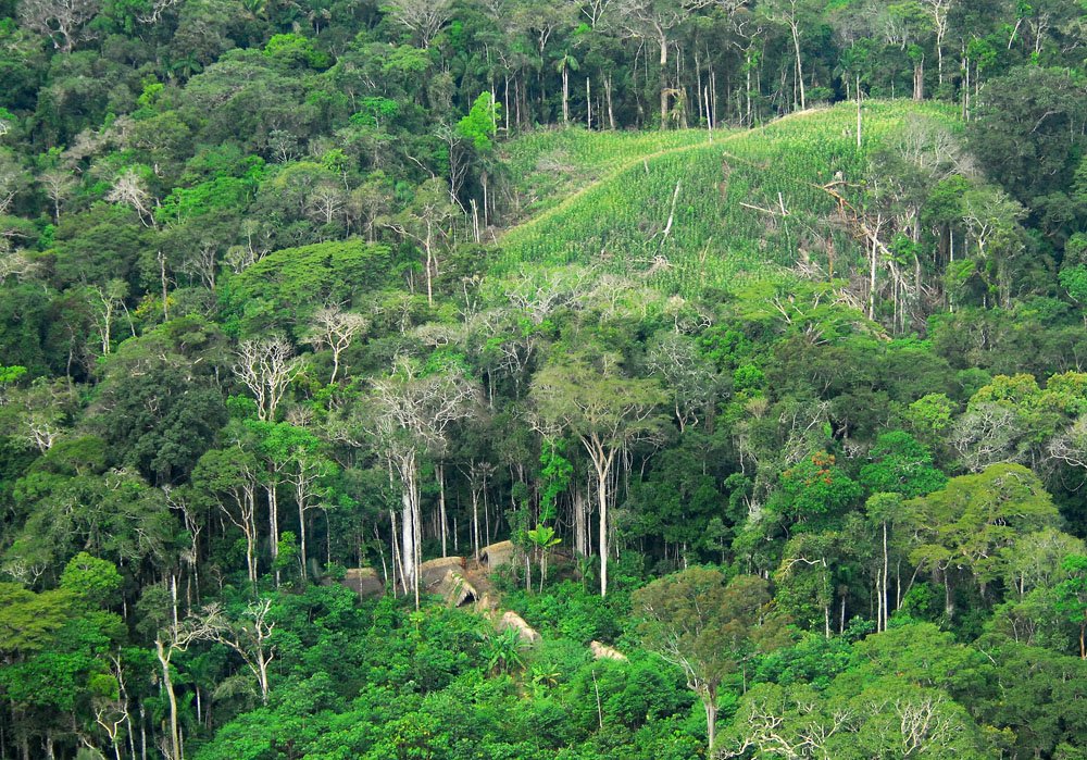 Ancient Circular Mound Villages Hidden In Amazonian Jungle Represent Native American Cosmos - New LIDAR Discovery