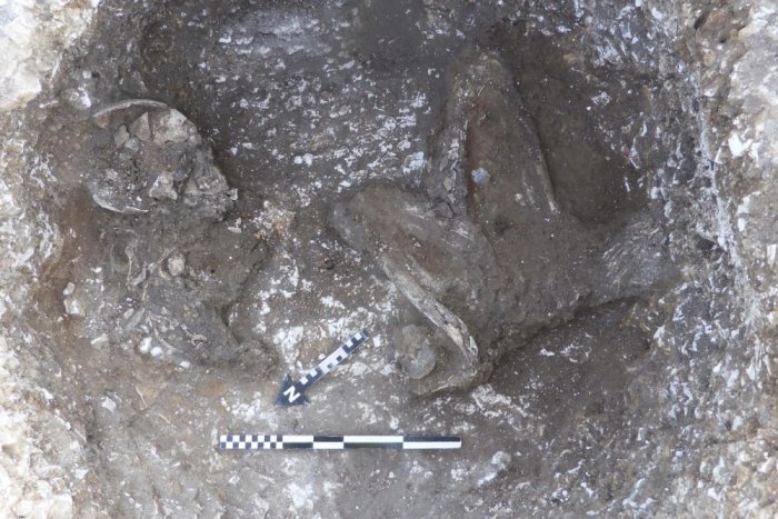 Bronze Age Human Remains Uncovered In Dorset During Excavation Of Iron Age Settlement