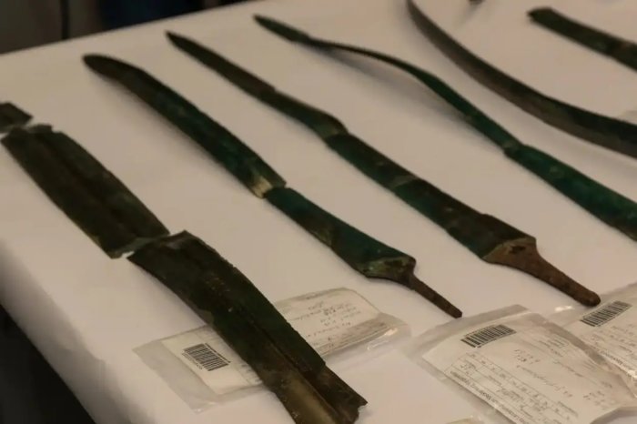 Seven Bronze Age Swords And Large Hoard Of Slavic Coins Found In Germany