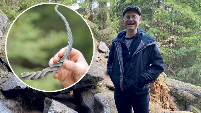 Unique Bronze Age Treasure Discovered In Swedish Forest Was Gift To Norse Gods