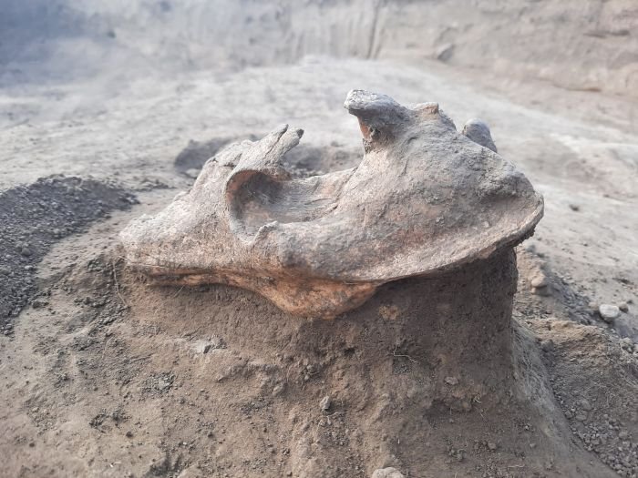 Archaeologists Make An Unusual Find In A 2,000-Year-Old Romanian Burial Mound