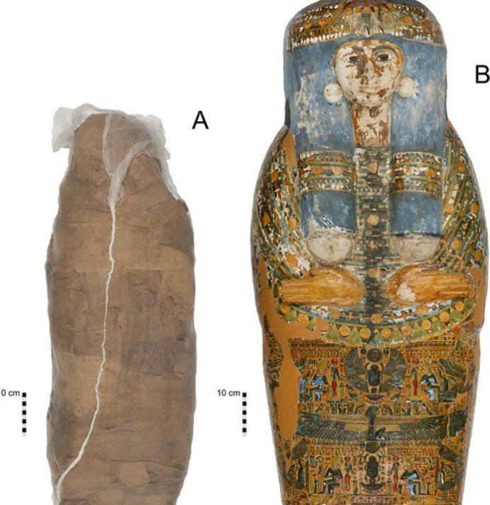 Mummified individual and coffin (the Nicholson Collection of the Chau Chak Wing Museum (Sowada et al/PLOS One)