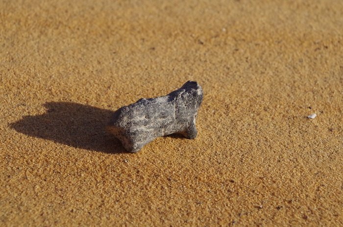 A figurine presumably depicting a cow. Credit: M. Osypińska/P. Osypiński