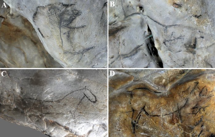 Was Ice Age Cave Art Influenced By Pareidolia? 