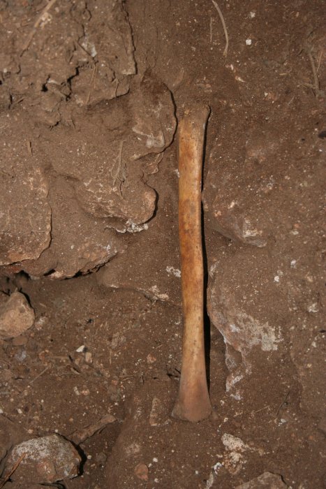 Ancient Human Remains Buried In Spanish Caves Were Subsequently Manipulated And Utilized 