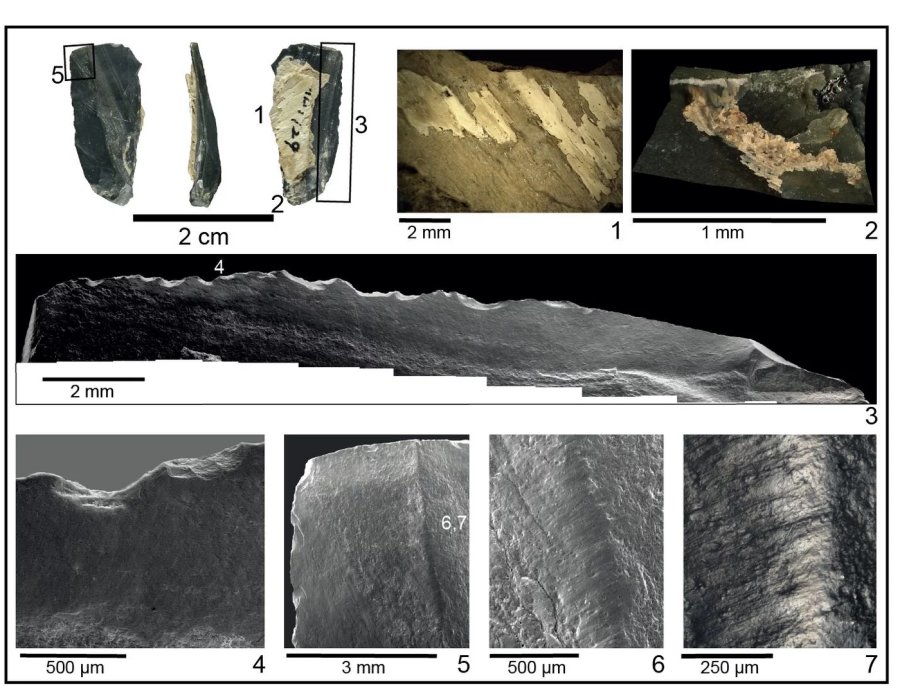 Extraordinarily well preserved bladelet showing microscopic evidence of a bone handle, plant fibres used for binding,… [more] © Andreu Oll  / Wang et al., Innovative ochre processing and tool-use in China 40,000 years ago. Nature. 2022