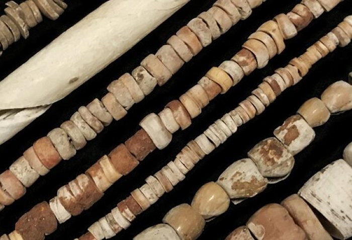 Chumash shell beads. Shell beads found in the Santa Barbara Channel region as well as elsewhere in California. Credit: Stacy Kennedy/Santa Barbara Museum of Natural History