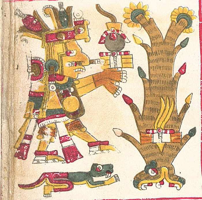 Centeotl – a drawing from the Borgia Codex