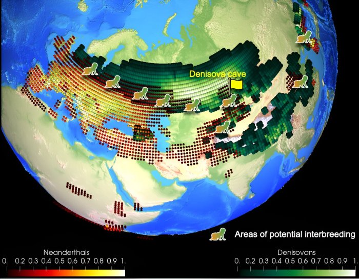  When And Where Early Human Species Interbred Was Detmined By Shifts In Climate And Vegetation - Scientists Say