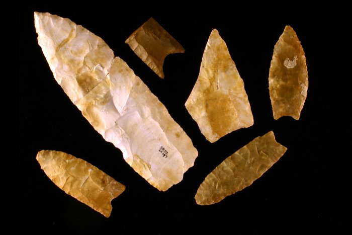 Clovis spear points from the Gault site in Texas. Center for the Study of the First Americans, Texas A&M