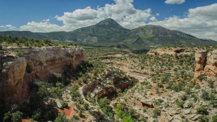 Archaeologists Discover Previously Unknown Huge Galleries And Petroglyphs In Colorado