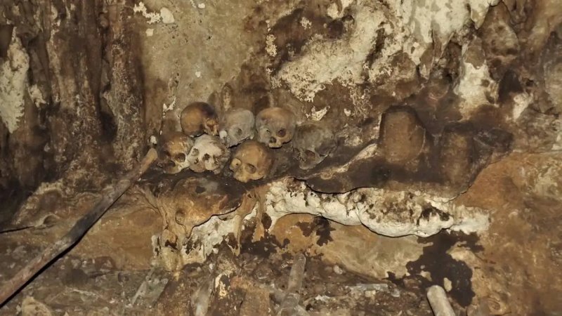 INAH confirms that 150 skulls found in Chiapas are pre-Hispanic. Source: Chiapas State Attorney General's Office