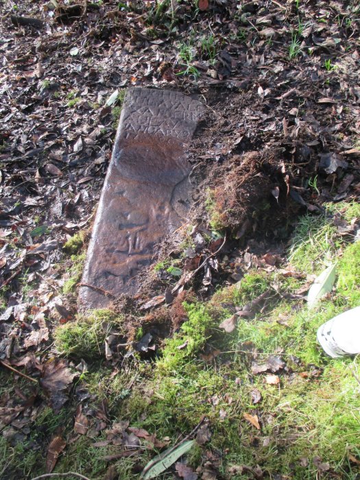 Rare Lost Pictish Stone With Strange Mythical Beasts Goes On Display For The First Time