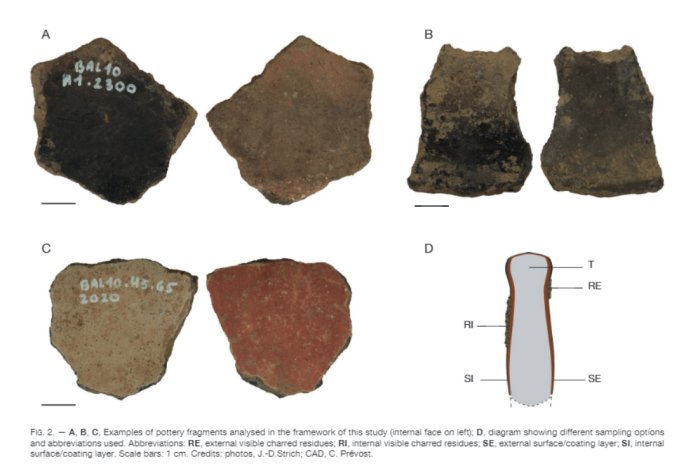 Ancient Pottery On The European Atlantic Coast Sheds Light On Cooking In The Bronze Age