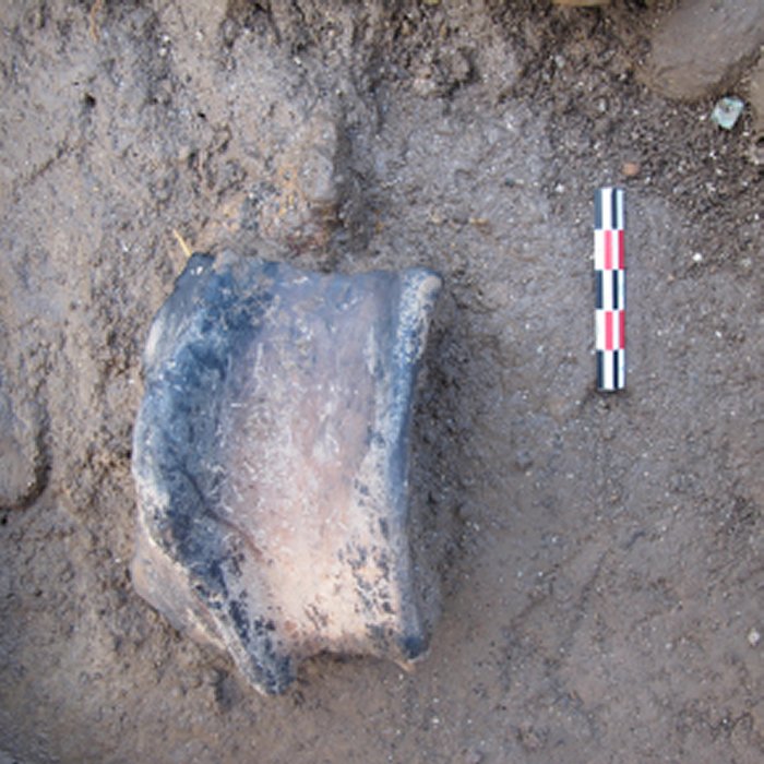 Ancient Pottery On The European Atlantic Coast Sheds Light On Cooking In The Bronze Age