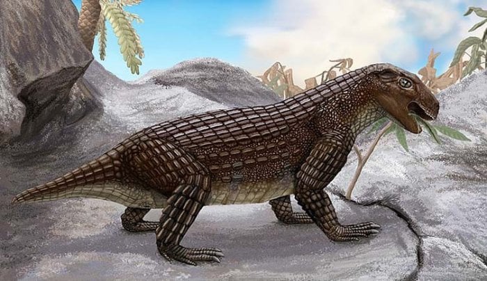 Surprisingly Complex History Of Crocodiles – New Study