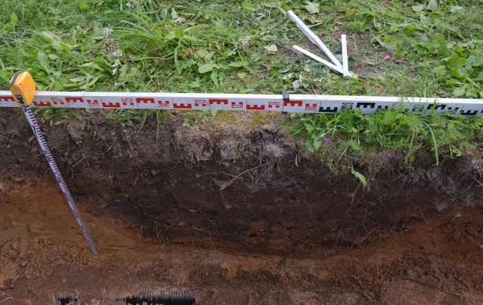 Crusader-Era Sword Discovered At Previously Unknown Burial Site In Finland