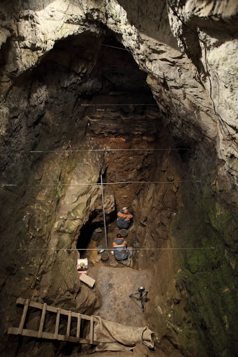 The Oldest Denisovan Fossils Ever Discovered Shed New Light On Early Hominins As They Spread Across Eurasia