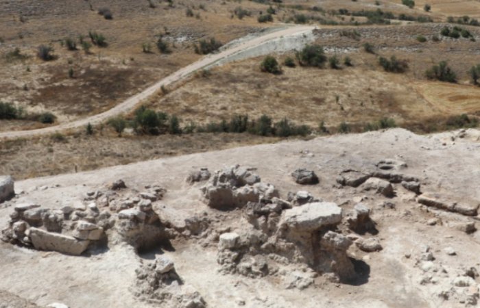 A 3,500-Year-Old Grape Seed Sheds Light On Great Tradition Of Vineyards Of Anatolia's Çal And Region