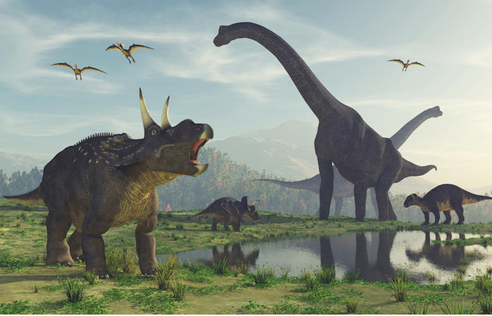 Evolution of the largest of the large dinosaurs